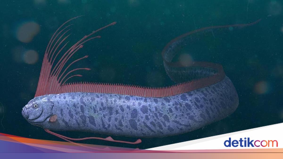 Mengenal Ikan Naga Laut, Penghuni Laut yang Kemunculannya Diliputi Mitos
