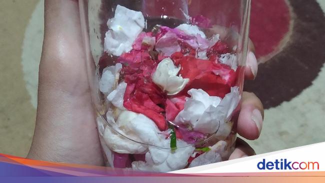 Kembang Macan Kerah Di Jawa Lulur Organik Amolya Jogja Facebook