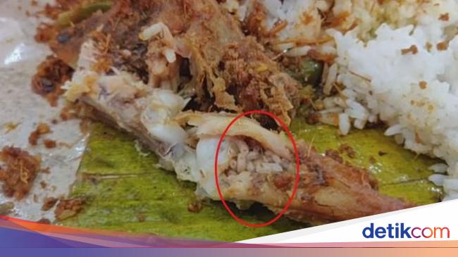Viral Nasi Bungkus Isi Lele Berbelatung di Medan, Polisi Turun Tangan - detikNews