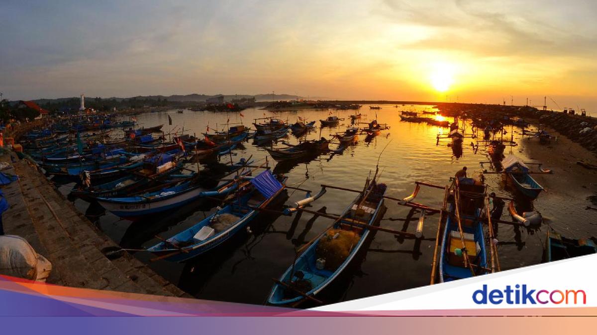 Issiq mushuk fotosurati Cara Mia porno