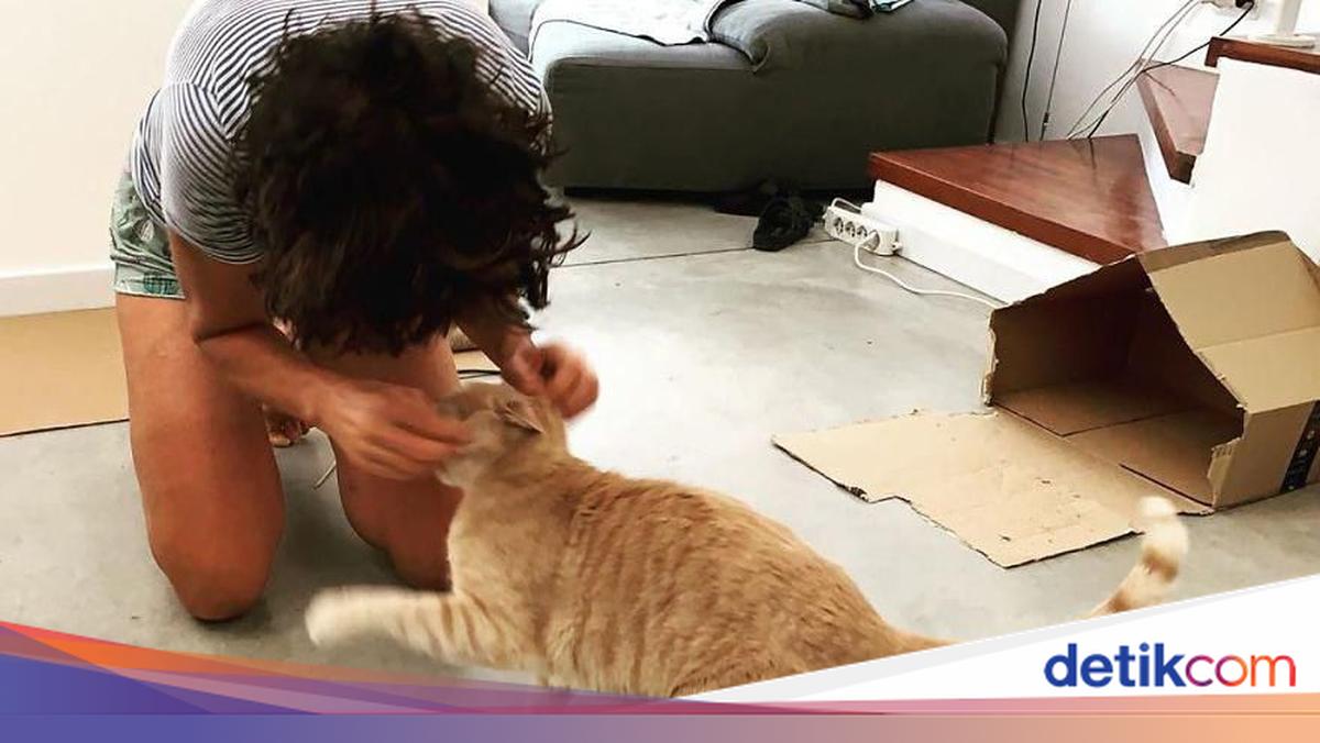 Kenalkan MarsCat, Robot Kucing yang Bikin Gemas
