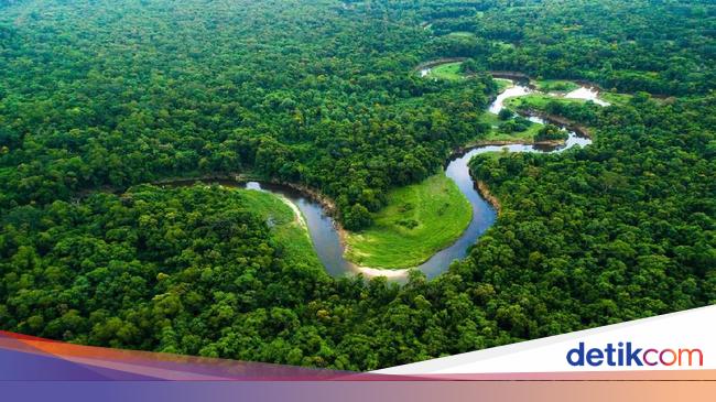 10 Sungai Terpanjang Di Dunia Lebih Panjang Nil Atau Amazon
