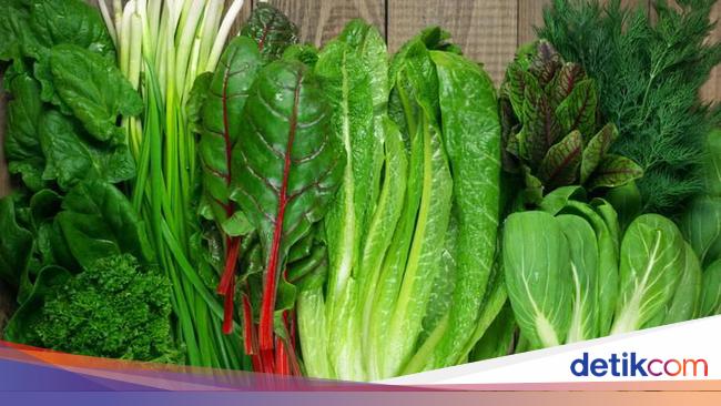 Terungkap Ini 5 Jenis Sayuran Hijau Yang Paling Sehat Riset 4530