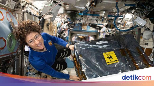 Hebat! Astronot Perempuan Ini Paling Lama Tinggal di Luar Angkasa - detikInet