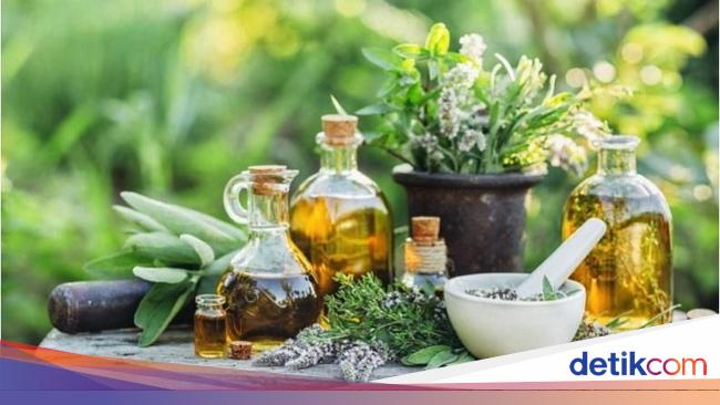 Ini Jenis Jenis Obat Tradisional Yang Perlu Kamu Tahu