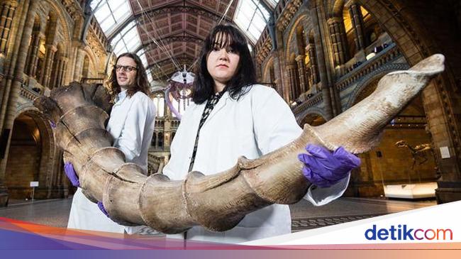 Binatang Langka yang Ada di Buku Harry Potter Dipajang Binatang Langka yang Ada di Buku Harry Potter Dipajang