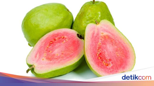 7 Manfaat Jambu Biji Menurunkan Kolesterol Hingga Cegah Kanker 7 Manfaat Jambu Biji Menurunkan Kolesterol Hingga Cegah Kanker