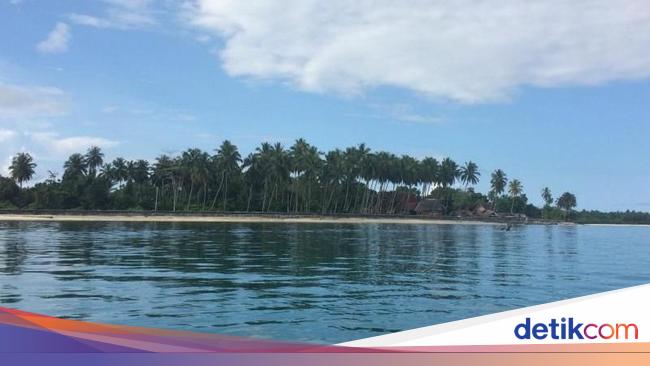 PT SPS Ternyata Belum Kantongi AMDAL hingga PBPH di Pulau Sipora