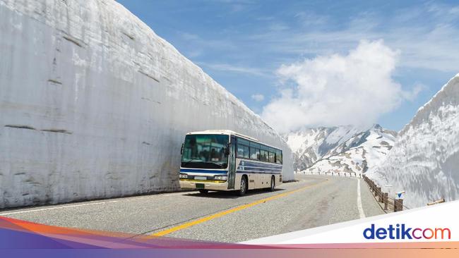 Experience the Great Wall of Snow: Tateyama Kurobe Alpine Route in Japan