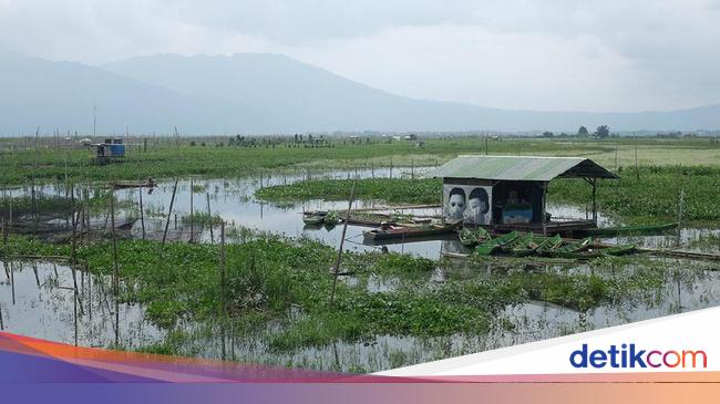 Legenda Rawa Pening Asal Usul Terbentuknya Danau Di Semarang