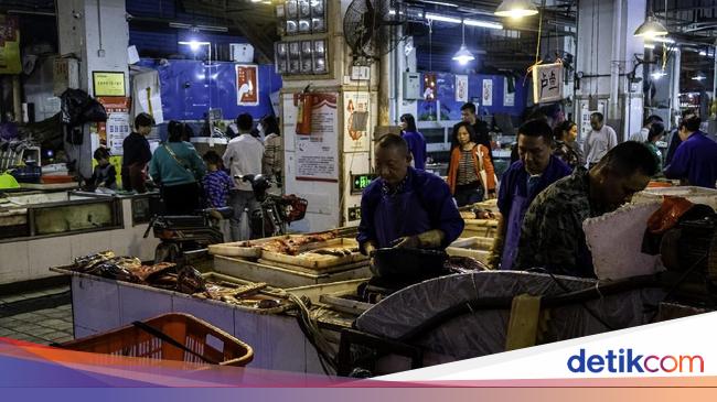 Heboh Virus Corona Wuhan Pasar Ini Jual Koala Dan Tikus Untuk Dimakan