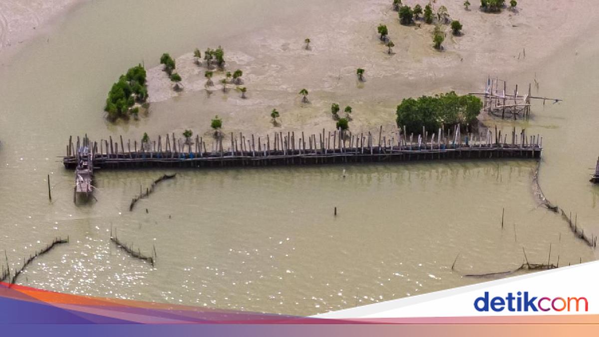 Tanah Musnah di Pesisir Semarang-Demak Bikin Nelayan Waswas Tak Bisa Melaut