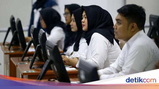 Arti Kode pada Pengumuman Hasil Kelulusan CPNS 2024, Cek di Sini!