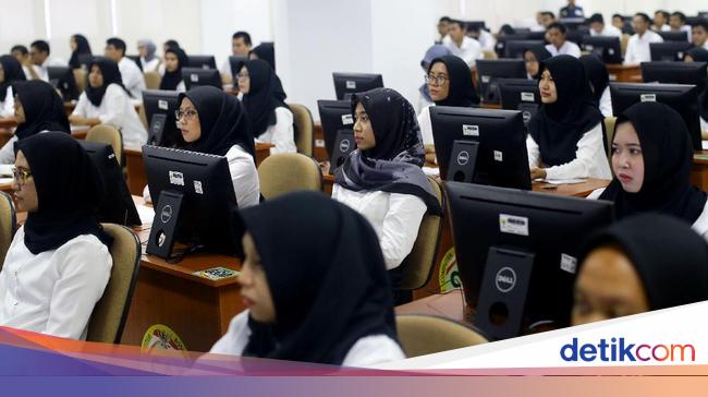 Ini Alasan Seleksi CPNS & PPPK 2024 Masih Belum Dibuka