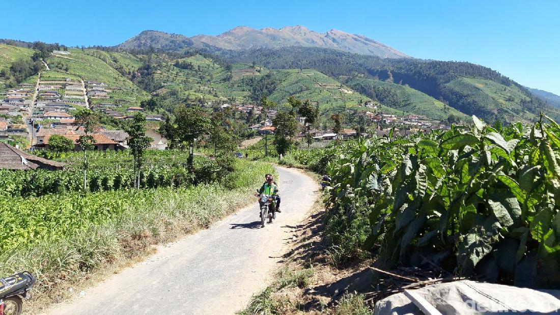 Hai Pendaki! 1 Februari Jalur Pendakian Merbabu Buka Lagi