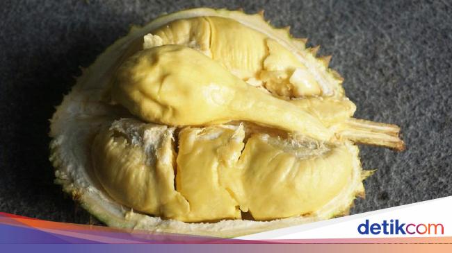 Durian Asli Indonesia yang Berdaging Tebal dan Legit Creamy Rasanya