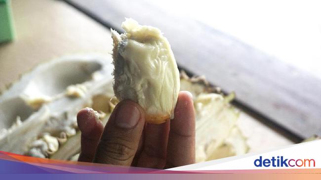 Serbu Yuk! Ini 7 Sentra Durian Terkenal di Jakarta dan Sekitarnya