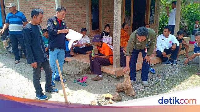 Lokasi Penemuan Fosil Hewan Purba di Madiun Akan Diekskavasi Lokasi Penemuan Fosil Hewan Purba di Madiun Akan Diekskavasi