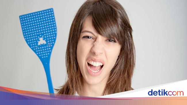 10 Cara Mengusir Lalat Yang Ampuh
