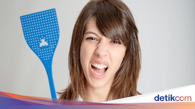 10 Cara Mengusir Lalat Yang Ampuh 10 Cara Mengusir Lalat Yang Ampuh