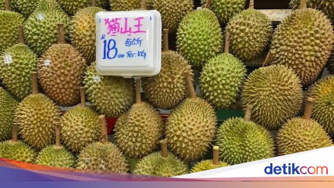 Kasihan Penjual Durian Ini Kena Tipu Rp 1 4 Miliar Setelah Jual Musang King