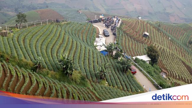 Terpopuler: 5 Destinasi Tak Kalah Seru dari Bali