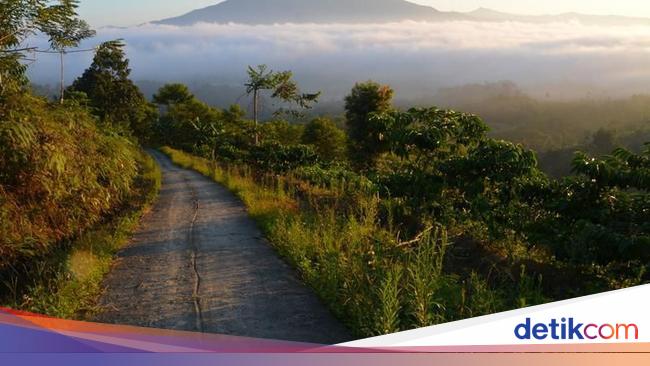 5 Tempat Wisata di Lampung Barat ini Wajib Kamu Kunjungi