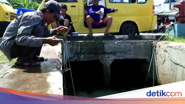 Melihat Asiknya Mancing Ikan Pakai Botol Plastik di Dermaga Palabuhanratu - Detiknews