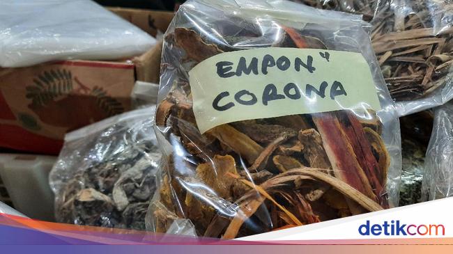 Tentang Empon Empon Yang Disebut Bisa Tangkal Virus Corona Di Indonesia