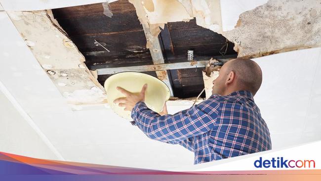 Duh Atap  Rumah  Bocor  Akibat Hujan  Atasi dengan Hal Ini