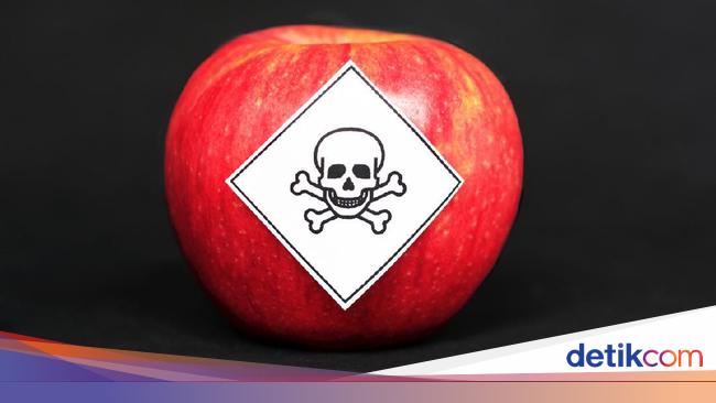 5 Buah Penyebab Alergi Efeknya Gatal Mual Hingga Pingsan