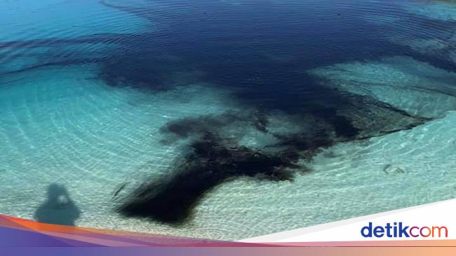 Cegah Influencer Berkumpul, Danau Cantik Ini Dibuat Menghitam