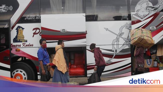 Loker Sopir Dan Kernet Bus : Po Harapan Jaya Buka Lowongan ...