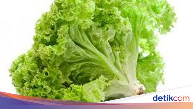 5 Daun Lalapan  Ini Tak Hanya Segar Tapi Juga Kaya Khasiat 5 Daun Lalapan  Ini Tak Hanya Segar Tapi Juga Kaya Khasiat