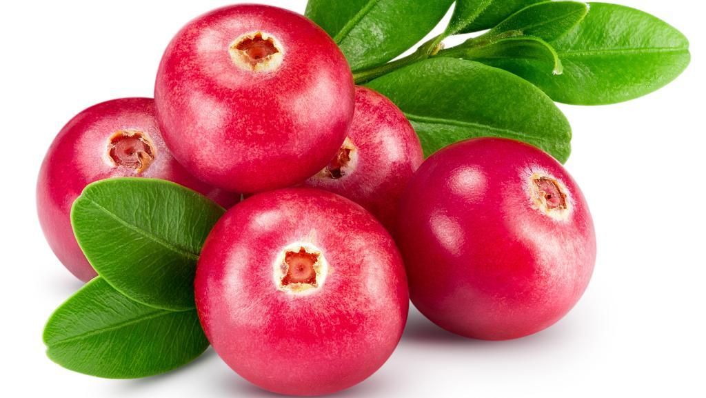 Mengenal Buah Cranberry, Si Kecil Yang Kaya Manfaat Untuk Kesehatan