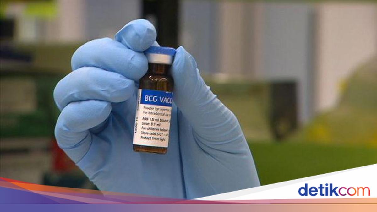 Genjot Daya Saing Industri Farmasi, Bio Farma Siapkan Vaksin TBC ...