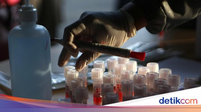 Sudah Sembuh dari COVID 19 Berapa  Lama  Antibodi Bertahan   Sudah Sembuh dari COVID 19 Berapa  Lama  Antibodi Bertahan