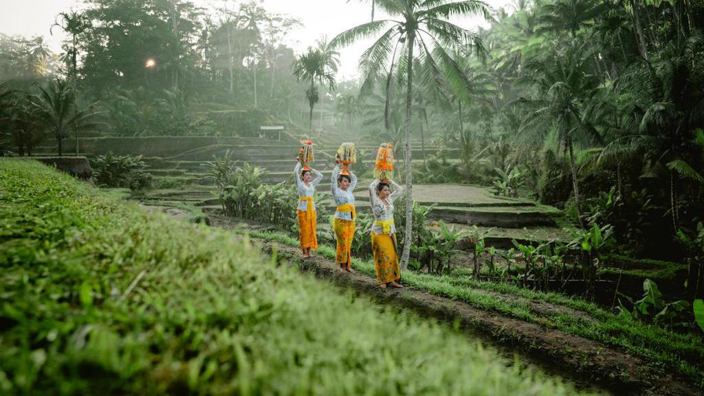 5 Warisan Budaya Dunia UNESCO Di Indonesia, Kamu Pernah Kunjungi?