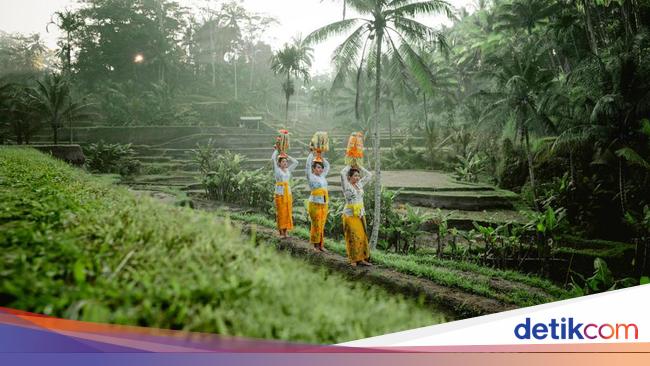 Studi Traveloka: Turis RI Lebih Suka Liburan Dalam Negeri, Bujet Jadi Alasan