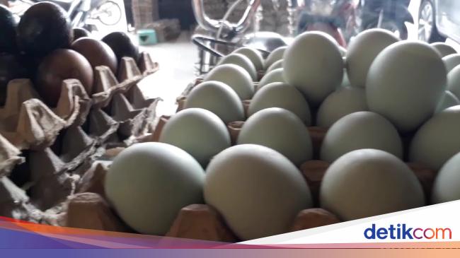  Telur  Asin  Jadi Warisan Budaya Takbenda Cek di Sini Harganya Halaman 2