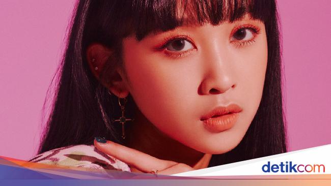 10 Artis  Korea  Pernah Tinggal  di  Indonesia  Ada yang  Lahir 