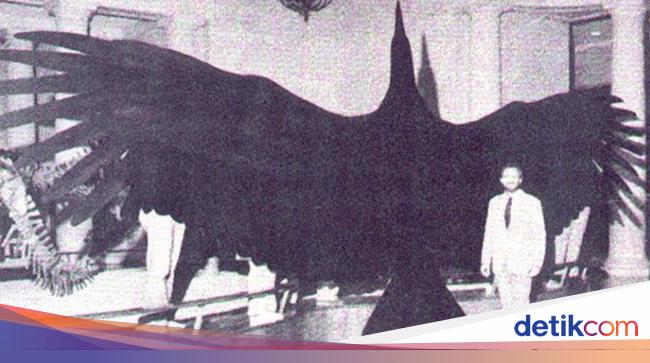 Argentavis Burung Raksasa Sebesar Pesawat Cessna Argentavis Burung Raksasa Sebesar Pesawat Cessna