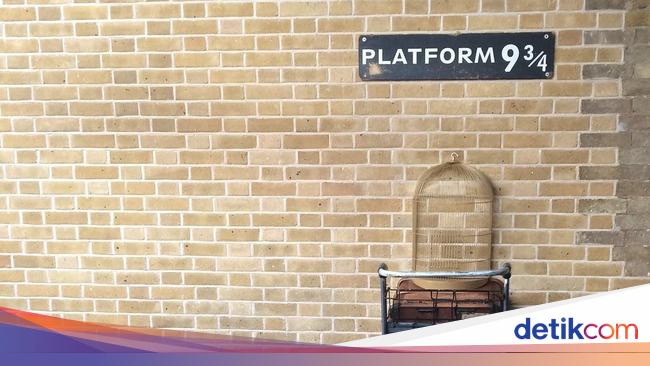 Biar Zoom Tambah Seru, Ini Kumpulan Ide Background Lucu