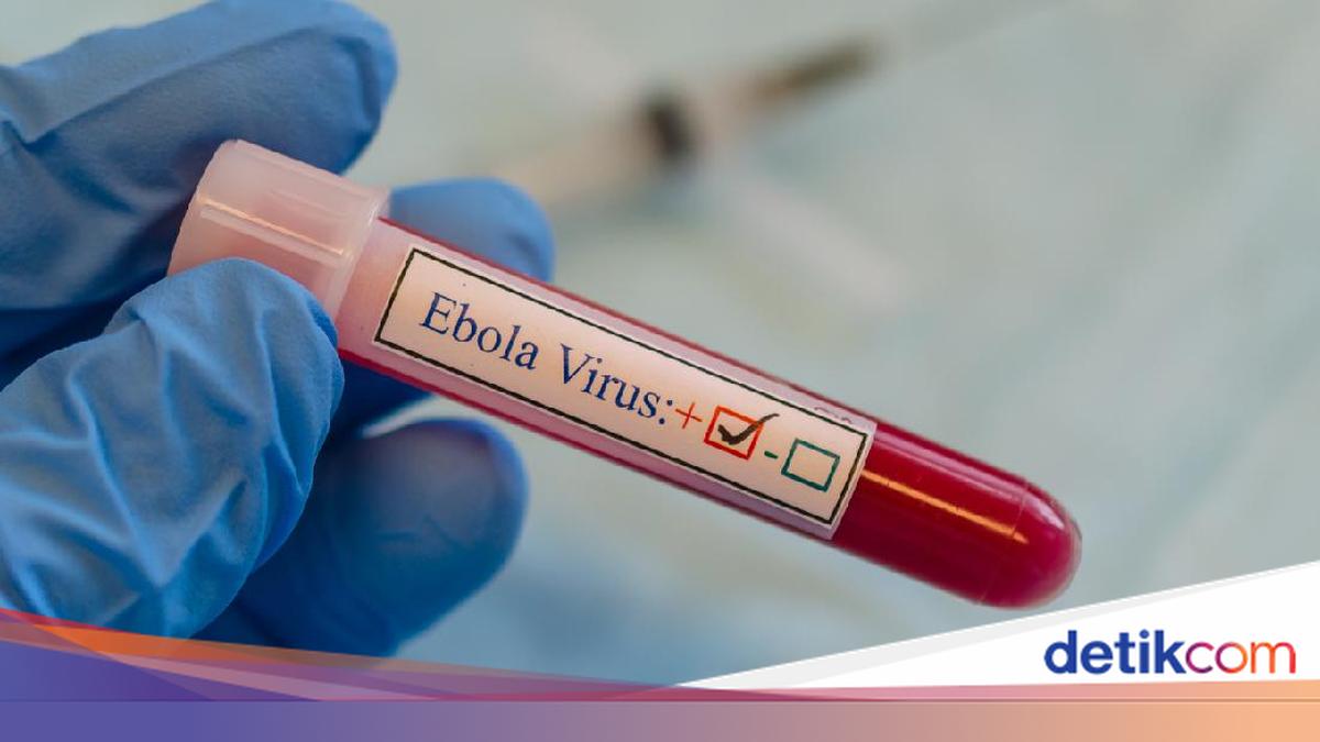 WHO Tetapkan Wabah Ebola Bundibugyo di Kongo dan Uganda Darurat Kesehatan Internasional