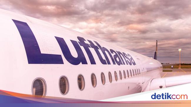 この飛行機の乗客は重傷を負い、男性は1リットルの血を吐き、その後死亡した