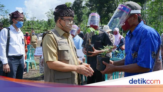 5 Lokasi Wisata Banyuwangi Yang Telah Buka Apa Saja