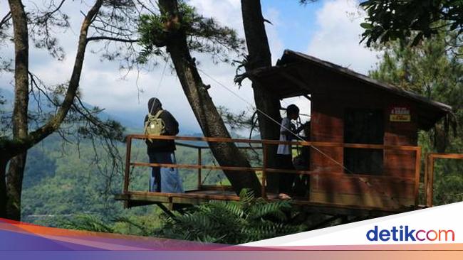 Mau Lihat Kota Batu dari Ketinggian Datanglah ke Omah Kayu Mau Lihat Kota Batu dari Ketinggian Datanglah ke Omah Kayu