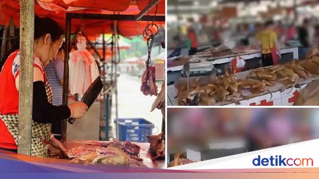 Dikecam Keras Pasar  Tradisional  di Yulin Masih Jual   Dikecam Keras Pasar  Tradisional  di Yulin Masih Jual
