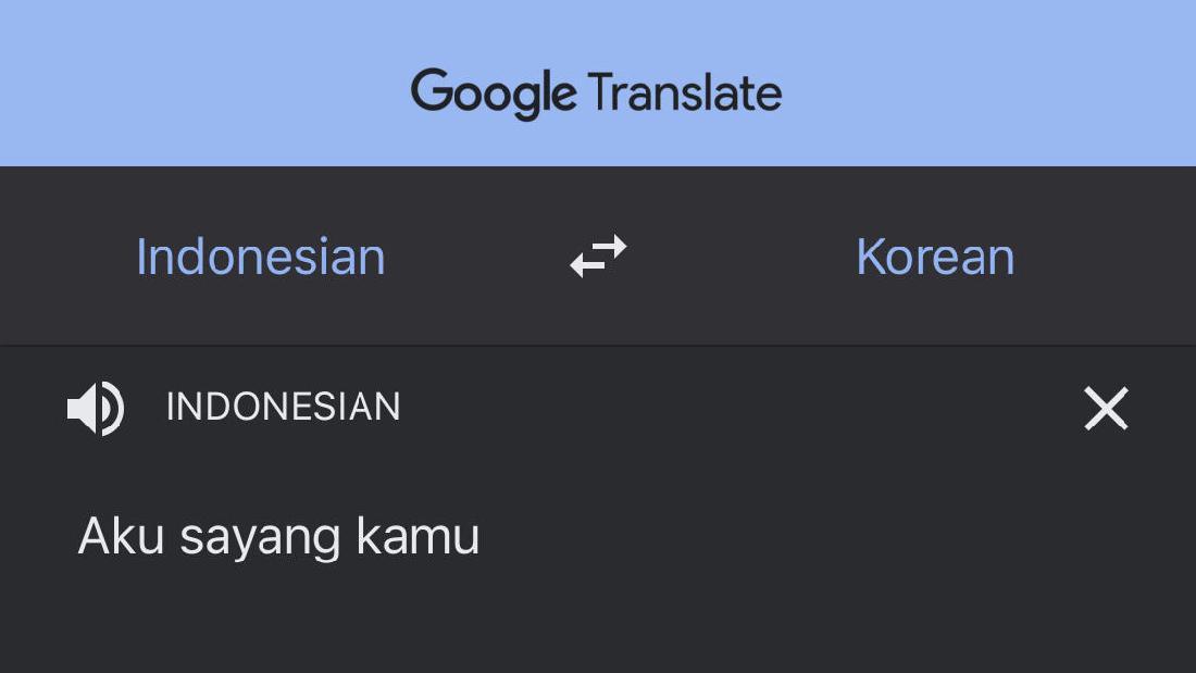 google translate bahasa lampung
