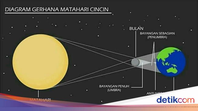 Cara Aman Melihat Gerhana Matahari Cincin Ala BMKG Juanda